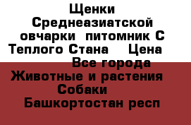 Щенки Среднеазиатской овчарки (питомник С Теплого Стана) › Цена ­ 20 000 - Все города Животные и растения » Собаки   . Башкортостан респ.